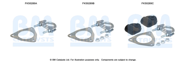 Uitlaat montageset Bm Catalysts FK50289