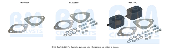 Uitlaat montageset Bm Catalysts FK50389