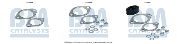 Uitlaat montageset Bm Catalysts FK50455