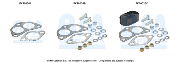 Uitlaat montageset Bm Catalysts FK70036