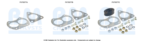 Uitlaat montageset Bm Catalysts FK70077