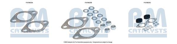 Uitlaat montageset Bm Catalysts FK70625