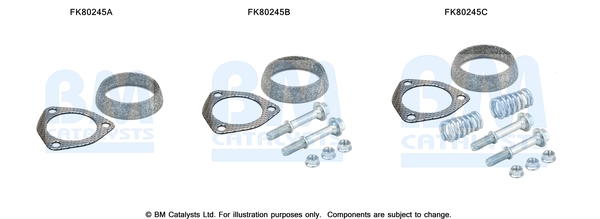 Katalysator montageset Bm Catalysts FK80245