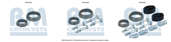 Katalysator montageset Bm Catalysts FK91225