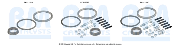 Katalysator montageset Bm Catalysts FK91259