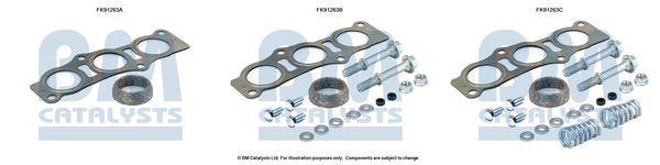 Katalysator montageset Bm Catalysts FK91263