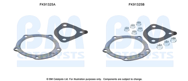 Katalysator montageset Bm Catalysts FK91325