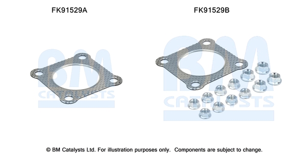 Katalysator montageset Bm Catalysts FK91529