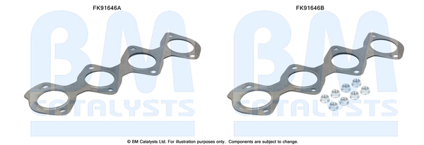 Katalysator montageset Bm Catalysts FK91646