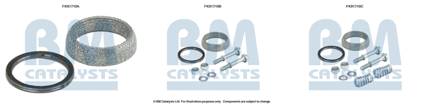 Katalysator montageset Bm Catalysts FK91710