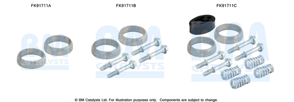 Katalysator montageset Bm Catalysts FK91711