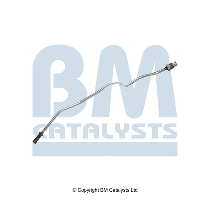 Drukleiding, druksensor (roetfilter) Bm Catalysts PP11187A