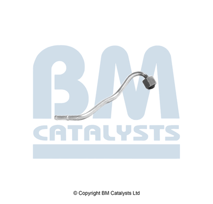 Drukleiding, druksensor (roetfilter) Bm Catalysts PP11256A