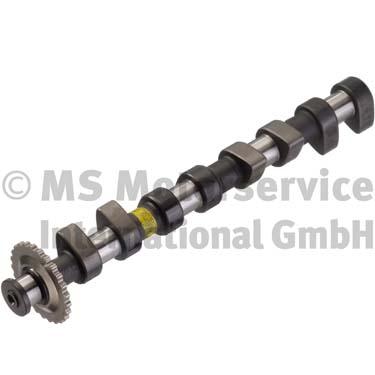 Nokkenas Kolbenschmidt 50006305