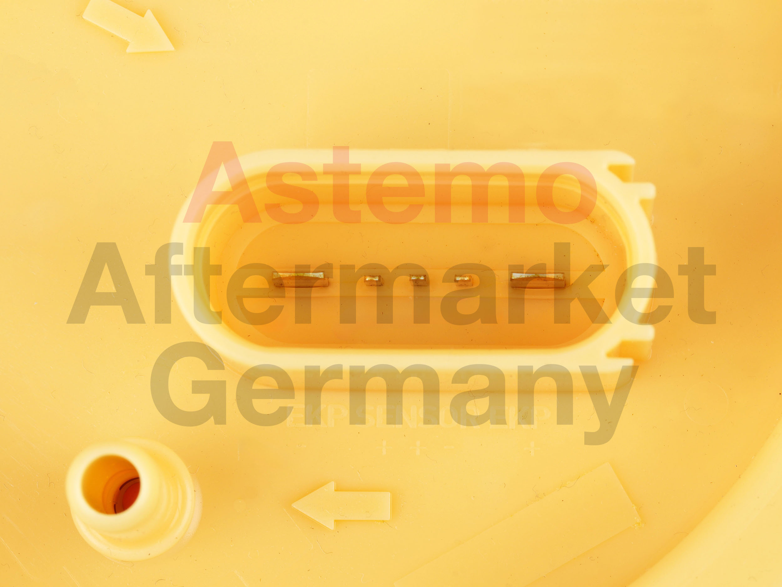 Hitachi Brandstof toevoermodule 2503561