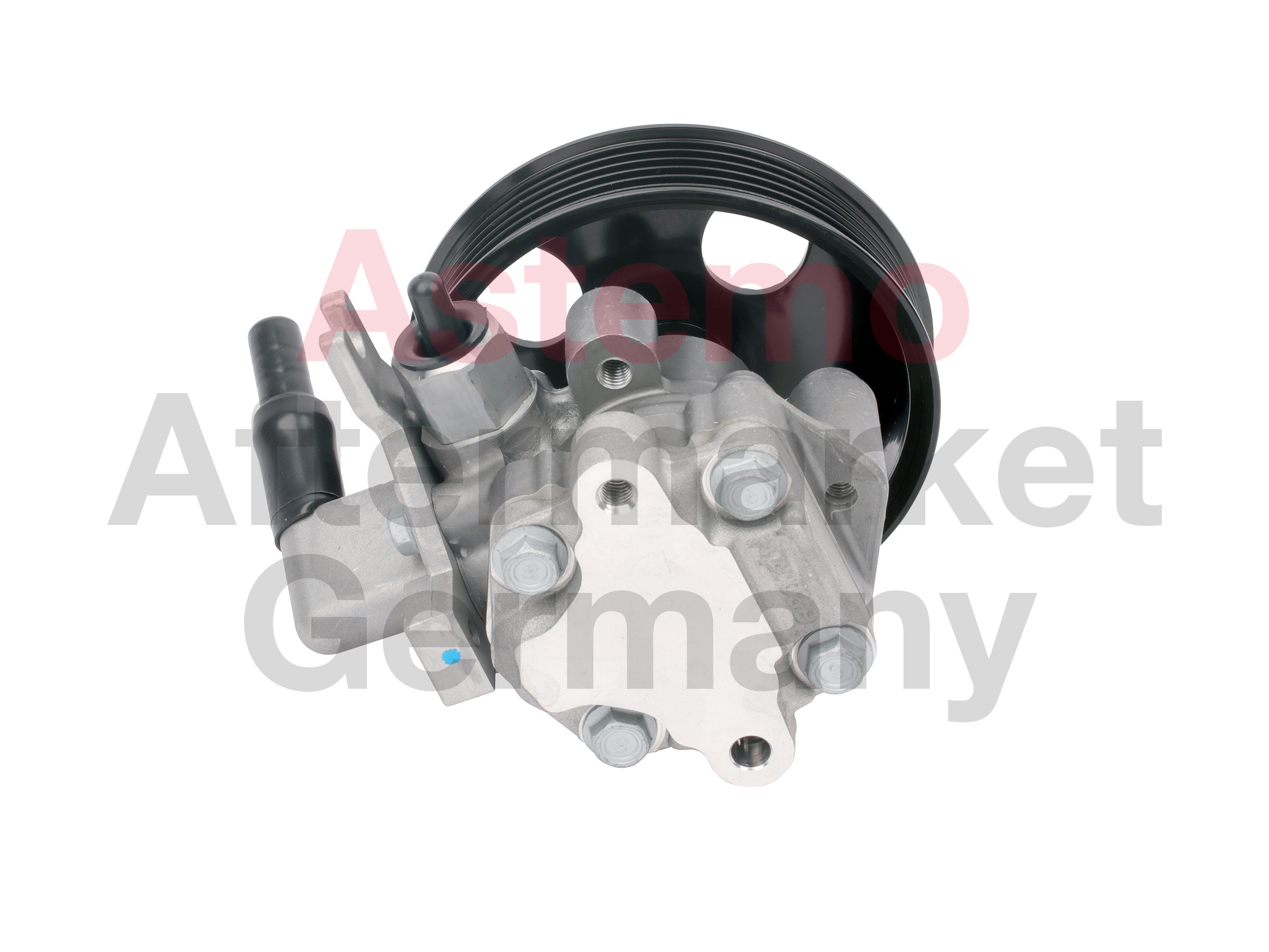 Hitachi Servopomp 2503645