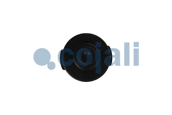 Cojali Geluidsdemper pneumatisch systeem 2203110