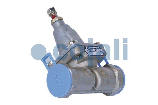 Overstroomklep Cojali 2206139