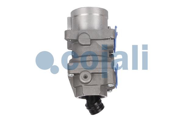 Cojali Remklep 2212249