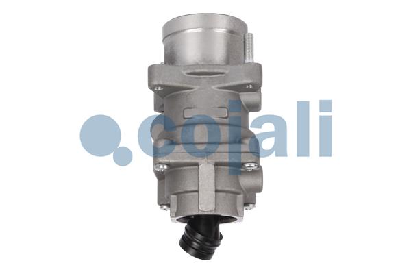 Cojali Remklep 2212249