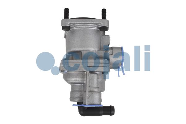 Cojali Remklep 2212282