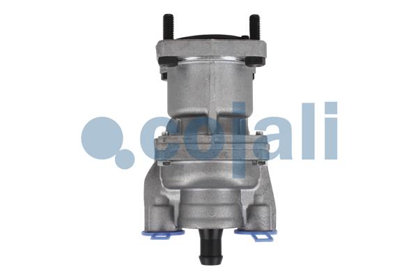 Cojali Remklep 2212284