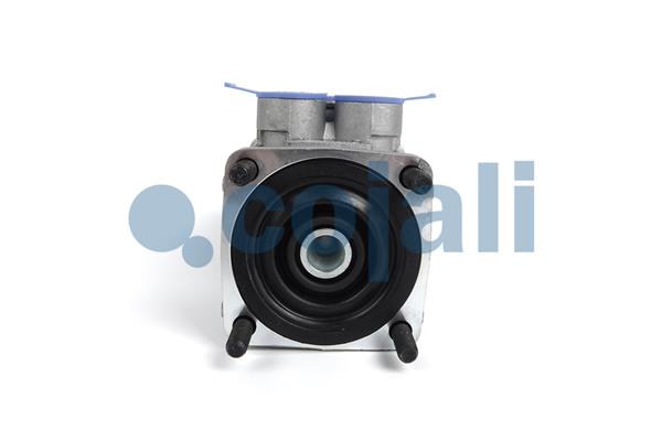 Cojali Remklep 2212521