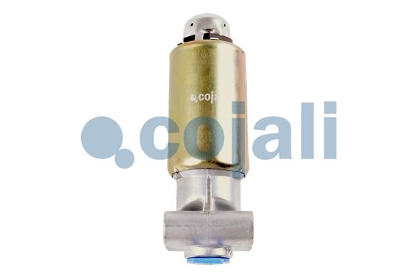 Cojali Magneetklep 2218220