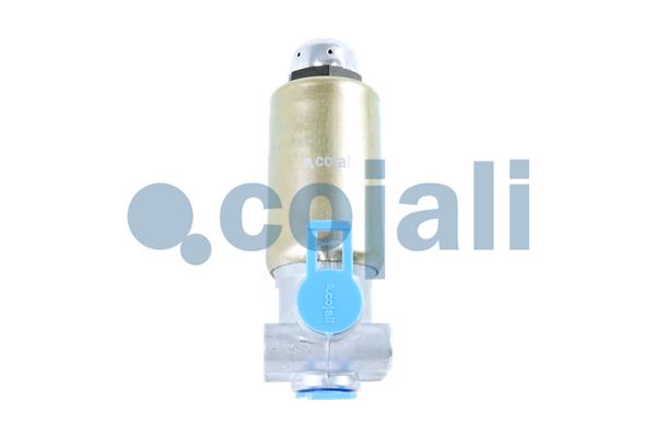 Cojali Magneetklep 2218222