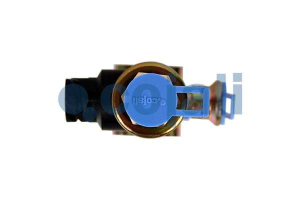 Cojali Magneetklep 2218241