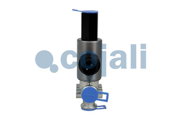 Cojali Magneetklep 2218242