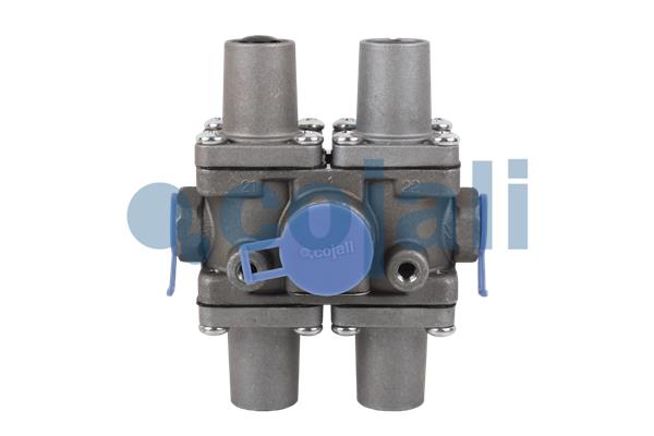 Multicircuit beschermingsklep Cojali 2222202