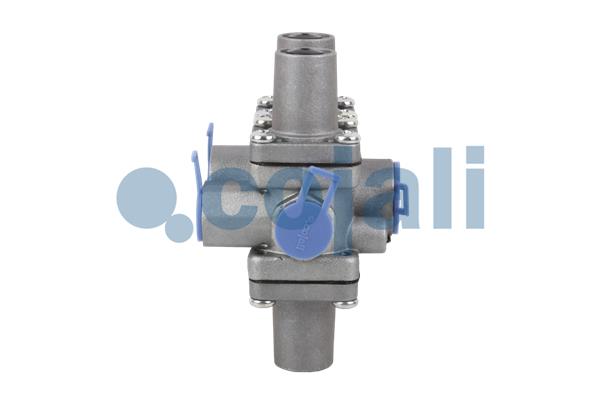 Cojali Multicircuit beschermingsklep 2222246