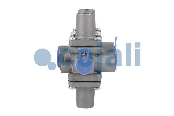 Cojali Multicircuit beschermingsklep 2222247