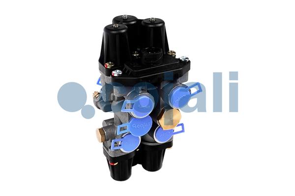 Multicircuit beschermingsklep Cojali 2222258