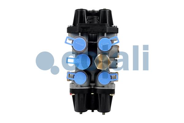 Cojali Multicircuit beschermingsklep 2222258