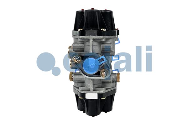 Cojali Multicircuit beschermingsklep 2222258