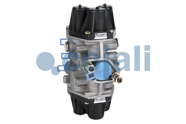 Multicircuit beschermingsklep Cojali 2222301