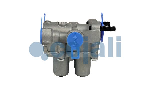 Cojali Multicircuit beschermingsklep 2222408