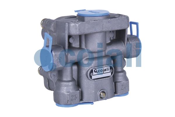 Multicircuit beschermingsklep Cojali 2222415