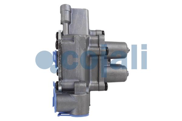 Cojali Multicircuit beschermingsklep 2222447