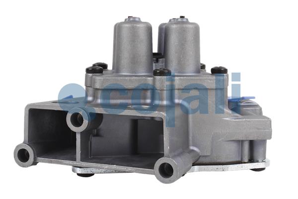 Cojali Multicircuit beschermingsklep 2222447