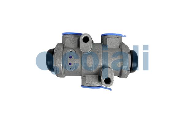 Cojali Multicircuit beschermingsklep 2222453