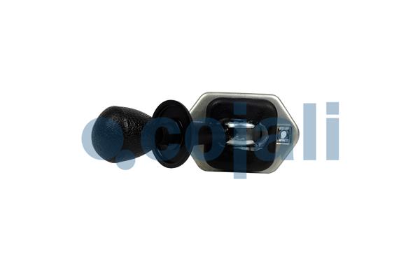 Cojali Remklep 2224311