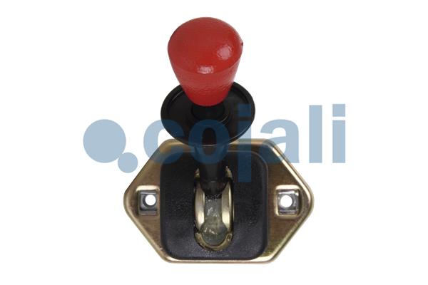 Cojali Remklep 2224317