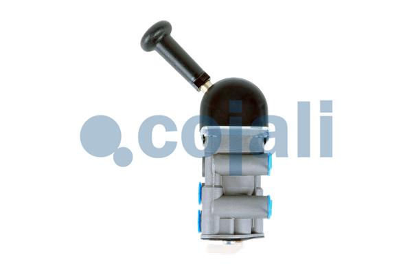 Remklep Cojali 2224417