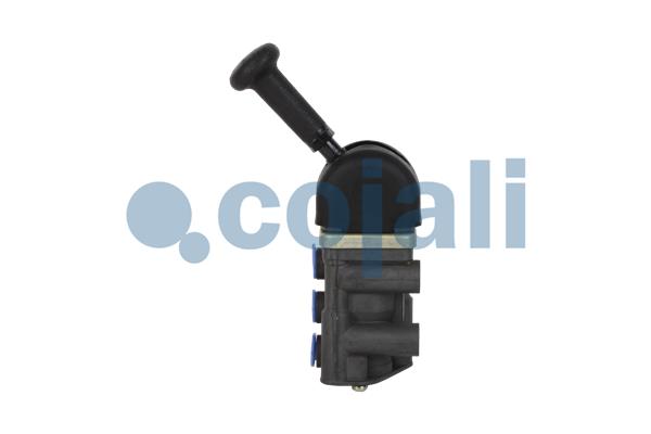 Remklep Cojali 2224418