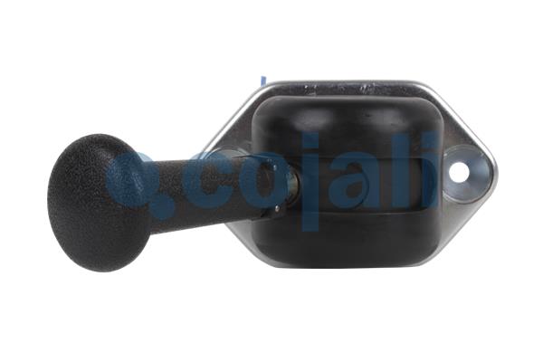 Cojali Remklep 2224423