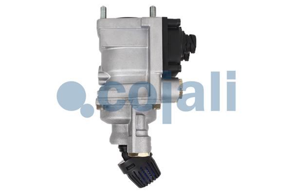 Cojali Remklep 2232004