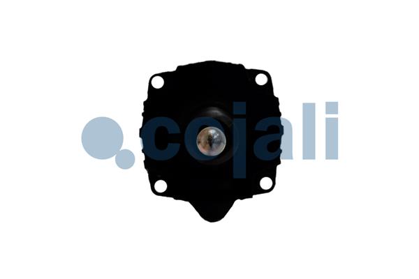 Cojali Koppelingsversterker 2250338